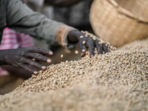 Ethiopia Sidamo W GR 2