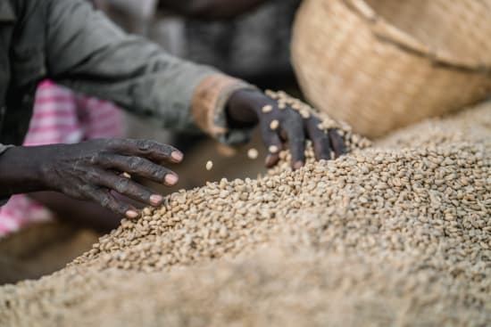 Ethiopia Sidamo W GR 2