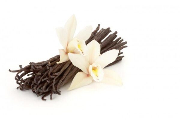 Αρωματικός Φίλτρου Βανίλια